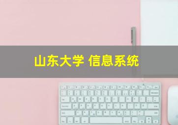 山东大学 信息系统